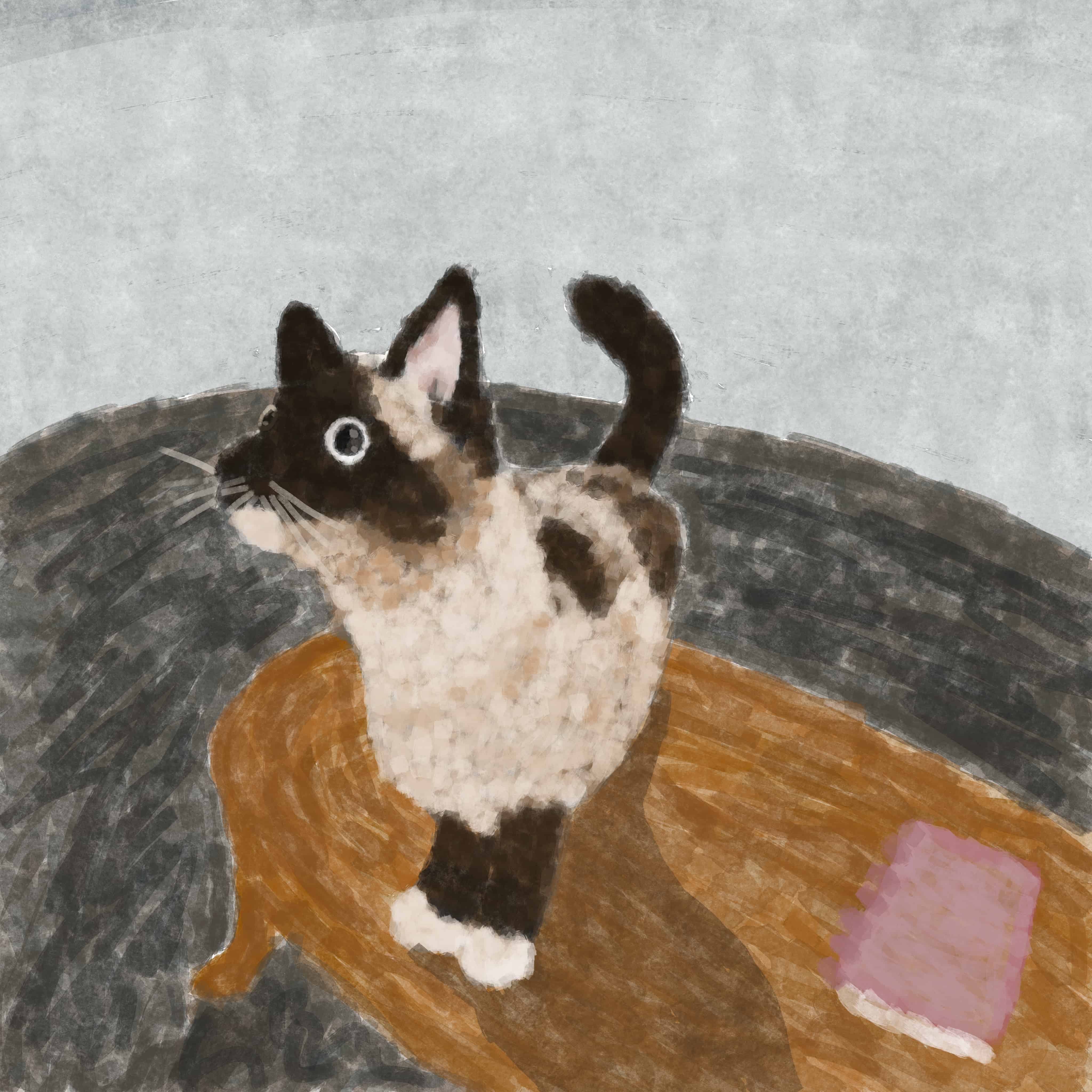 A Siamese cat standing on a table looking slightly upwards that has a look of innocence and energy.